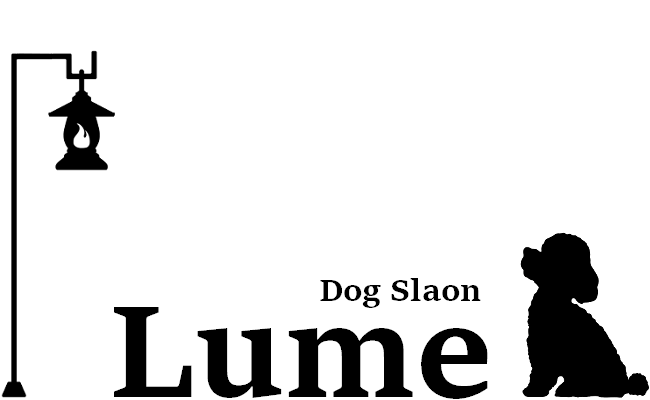 Lumeのロゴ