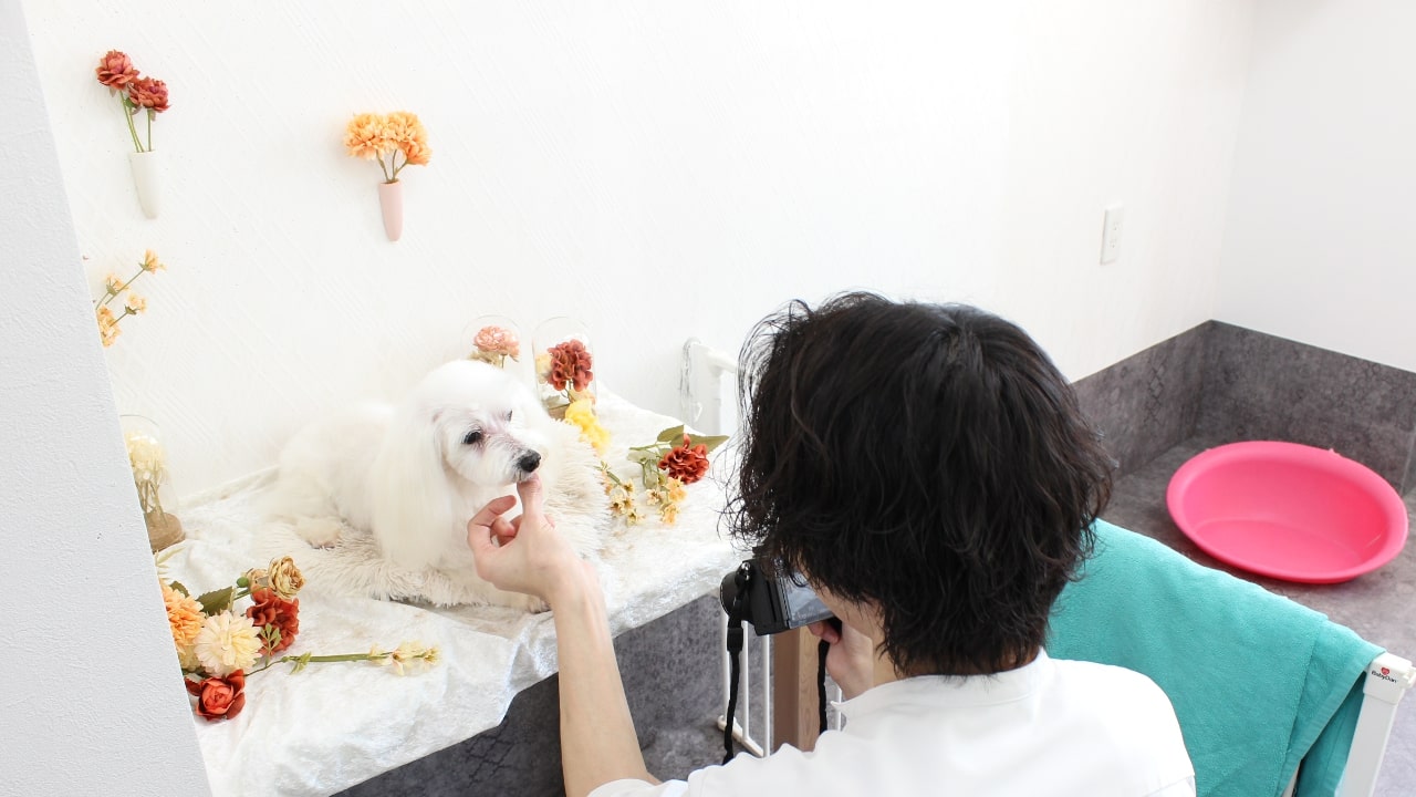 オプションメニュー紹介写真